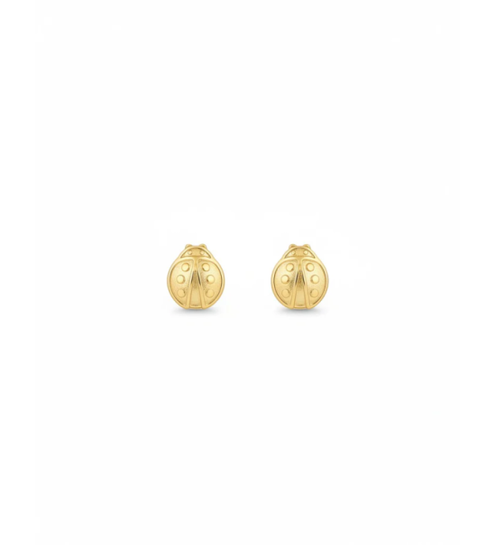 Clou doreille coccinelle 0