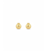 Clou doreille coccinelle 0